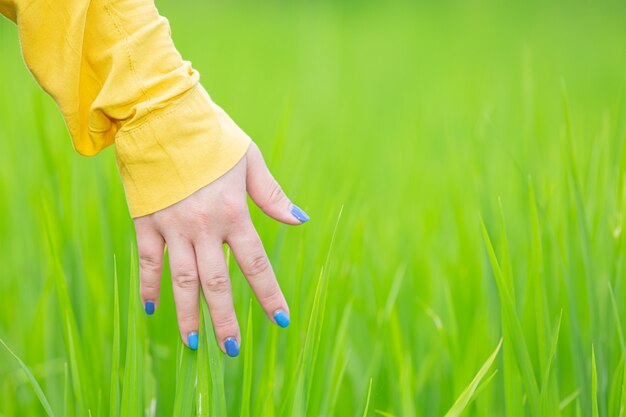 Main de femme touchant l'herbe parmi la nature