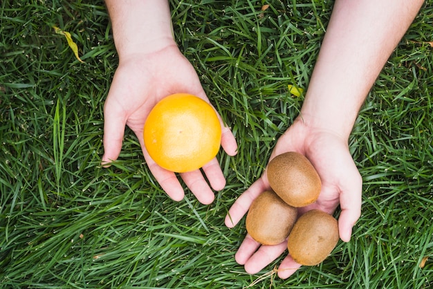 Main de l&#39;homme tenant des fruits orange et kiwi sur l&#39;herbe verte