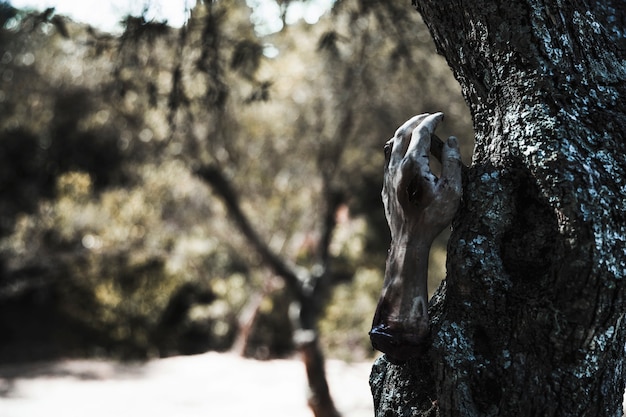 Photo gratuite main de mort-vivant sur un arbre dans un fourré ensoleillé