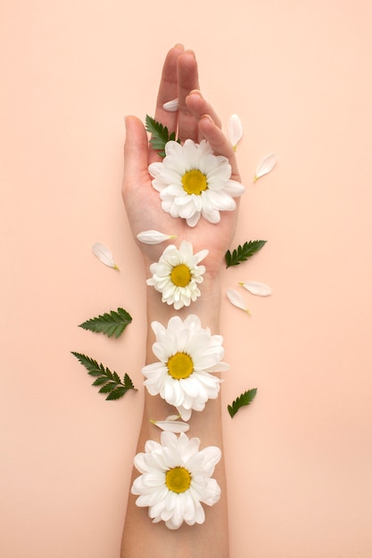 La main avec des pétales de fleurs étalés
