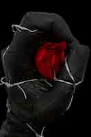 Photo gratuite main saisissant une rose