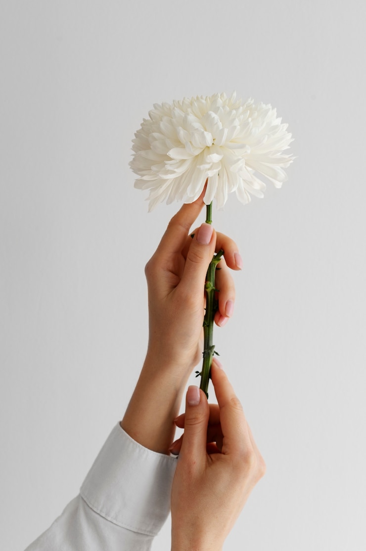 Photo gratuit main tenant une fleur élégante