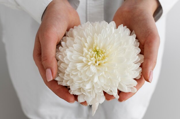 La main tenant une fleur élégante