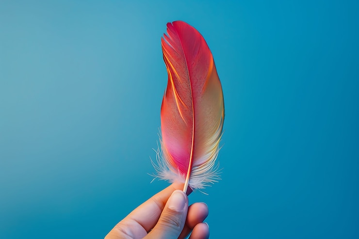 Photo gratuit la main tenant une plume en studio