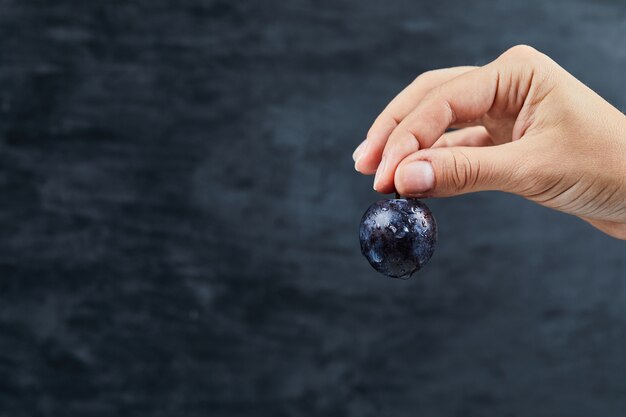 Main tenant une prune fraîche sur un fond sombre.