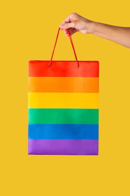 Main tenant le sac arc-en-ciel. Concept de fierté LGBT