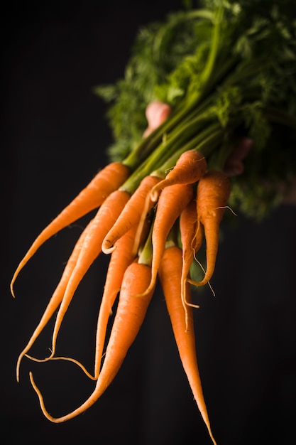 Main, tenue, tas, carottes