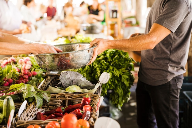 Main de vendeur tenant un récipient en acier inoxydable pendant qu&#39;un client achète des légumes au marché