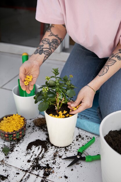 Mains à angle élevé transplantant des plantes