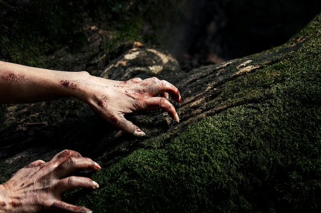 Photo gratuite mains effrayantes de zombie dans la nature