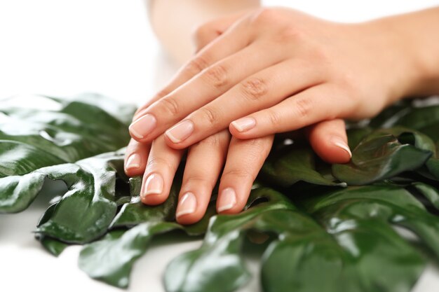 Les mains féminines sur les feuilles. Concept de manucure