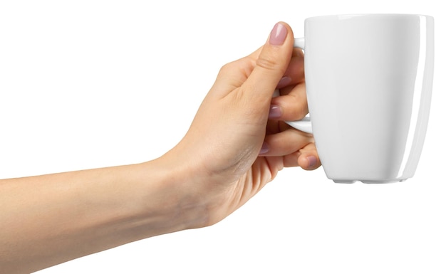 Mains féminines sur fond blanc avec une tasse
