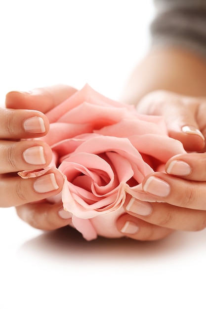 Photo gratuite mains féminines avec rose rose. concept de féminité