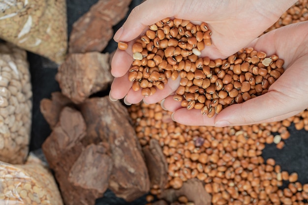 Mains féminines tenant un tas de haricots rouges