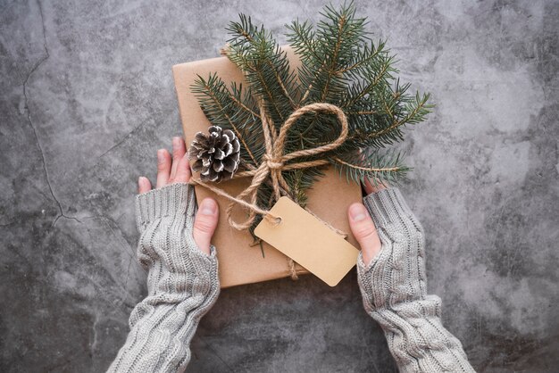 Mains tenant la boîte à cadeaux avec des chicots et des brindilles de sapin