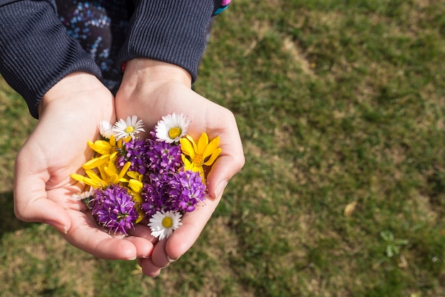 Photo gratuite mains tenant différents types de fleurs