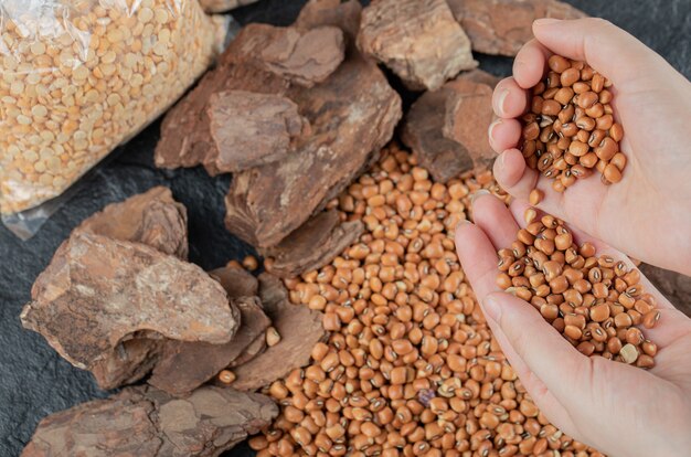 Mains tenant des haricots rouges sur fond noir.