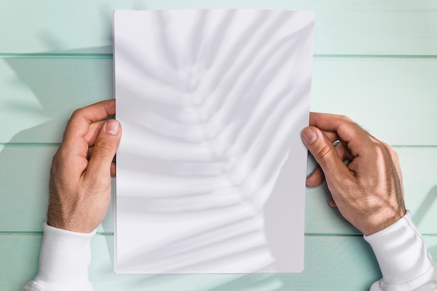 Mains tenant un papier et une ombre de feuilles
