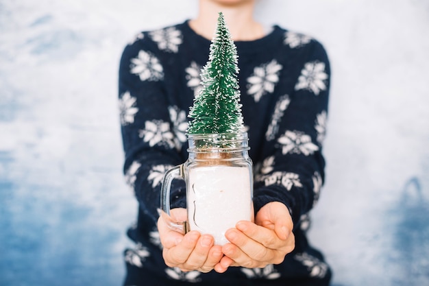 Mains tenant la plante de Noël