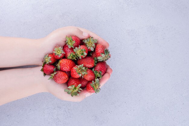 Mains tenant un tas de fraises sur fond de marbre. photo de haute qualité