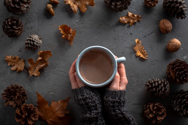 Mains tenant une tasse de chocolat hoc