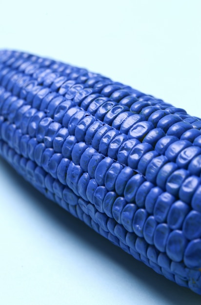 Photo gratuite maïs peint sur table bleue