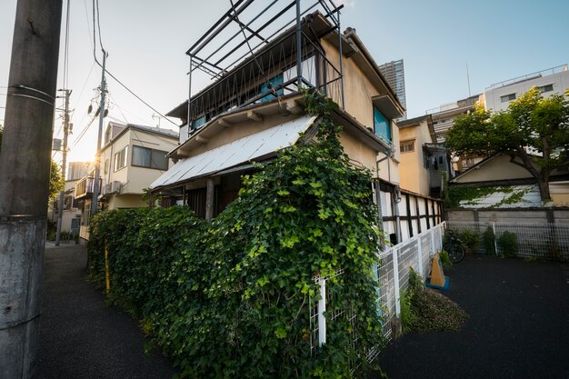 Maison abandonnée avec des plantes vertes