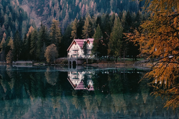 Photo gratuite maison blanche entourée d'arbres