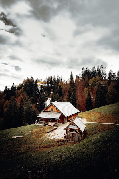 Photo gratuite maison en bois brun près des arbres verts sous un ciel nuageux pendant la journée