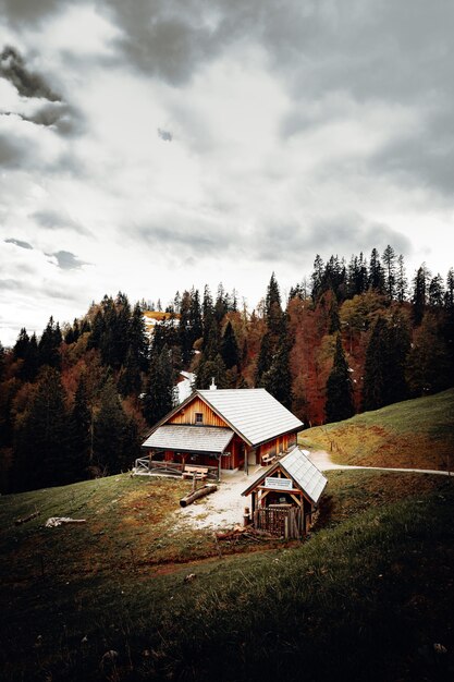 Maison en bois brun près des arbres verts sous un ciel nuageux pendant la journée