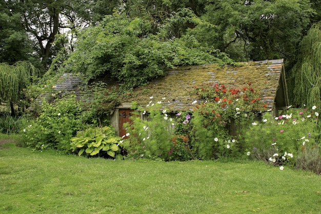 Maison en bois dans un champ herbeux entouré de plantes et de fleurs