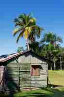 Photo gratuite maison en bois à la plage des caraïbes