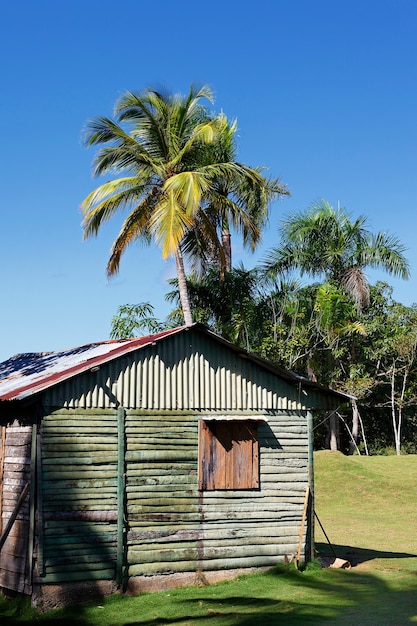 Maison en bois à la plage des Caraïbes