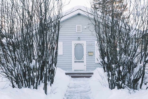 Maison avec des buissons en hiver