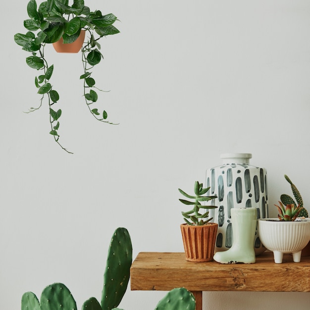 Photo gratuite maison esthétique avec cactus et plantes sur une étagère en bois