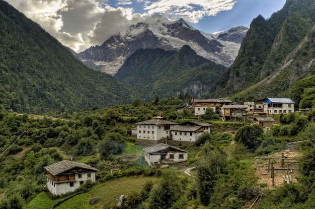 Maisons en béton blanc