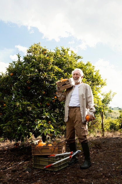 Man cultiver des oranges