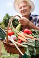 Photo gratuite man travaillant dans le domaine avec des légumes