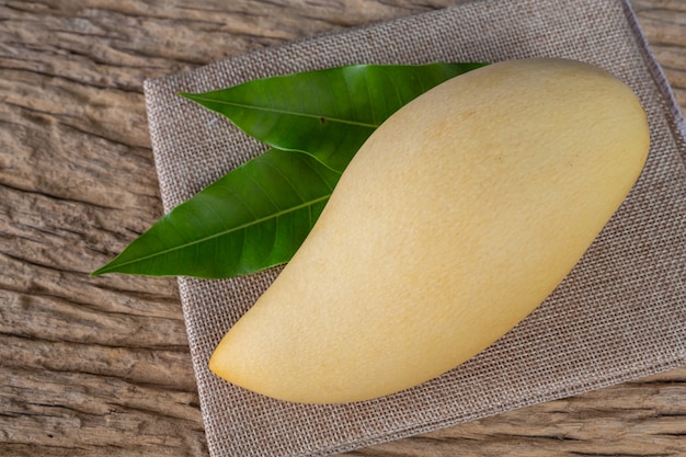 Mangue posée sur un plancher en bois.