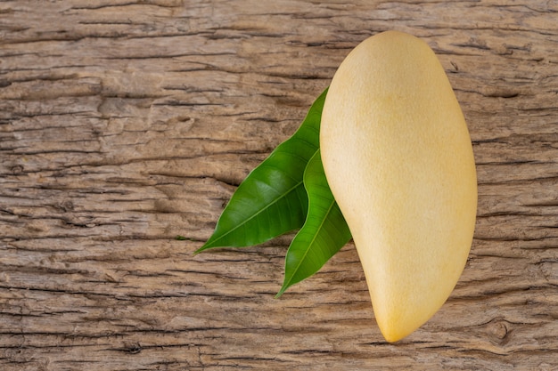 Photo gratuite mangue posée sur un plancher en bois.