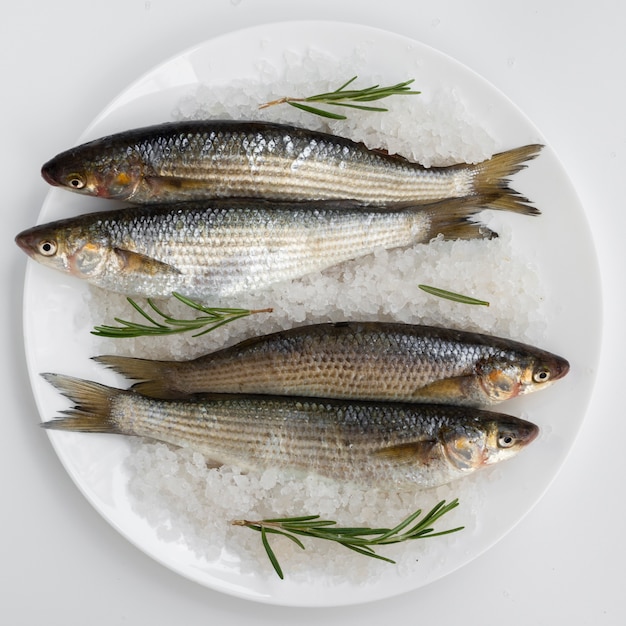 Maquereaux frais vue de dessus sur une assiette