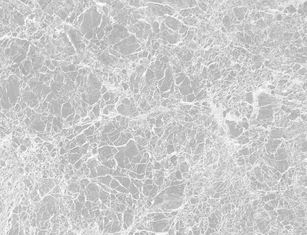 Marble texture fond