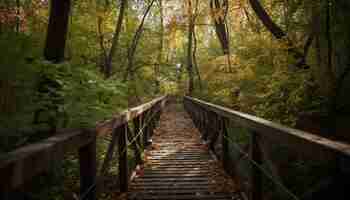 Photo gratuite marcher sur une passerelle entourée de nature automnale générée par l'ia