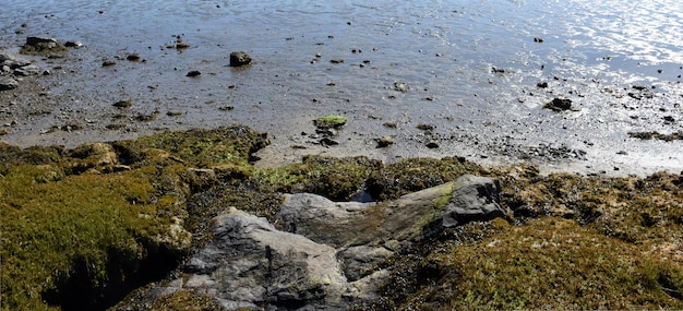 Marée basse le long de la côte de l'Atlantique