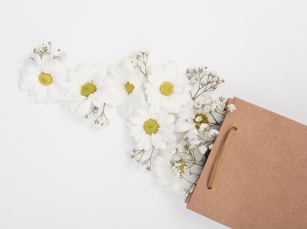 Marguerites dans un sac cadeau en papier vue de dessus