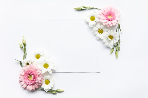 Marguerites près de la feuille de papier