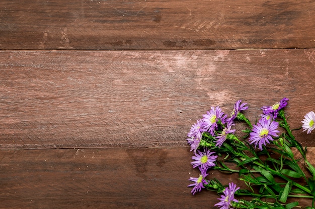 Marguerites violettes sur fond en bois