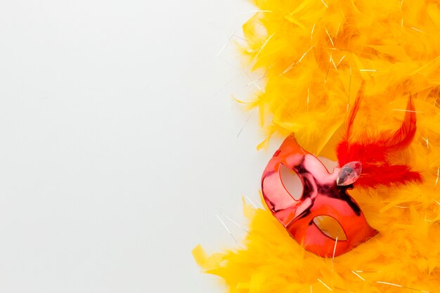 Masque de carnaval élégant et plumes