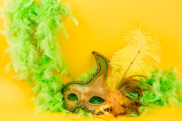 Photo gratuite masque de carnaval avec des plumes