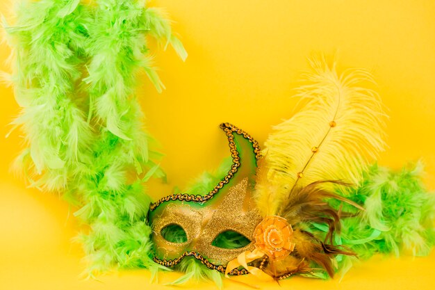 Masque de carnaval avec des plumes